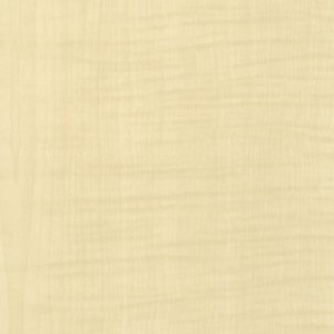 Toppal 德利 B385 水平板 (1.0mm x 4尺 x 8尺)