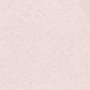Toppal 德利 C531 水平板 (1.0mm x 4尺 x 8尺)
