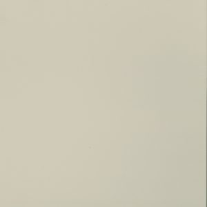 Toppal 德利 DH242 水平板 (1.0mm x 4尺 x 8尺)