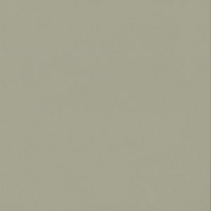 Toppal 德利 E287 水平板 (1.0mm x 4尺 x 8尺)
